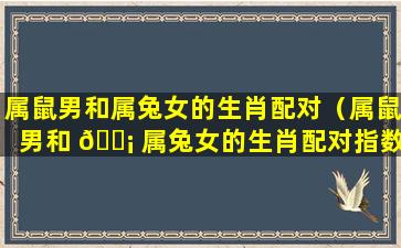 属鼠男和属兔女的生肖配对（属鼠男和 🐡 属兔女的生肖配对指数）